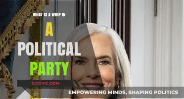 Understanding the Role of a Whip in Political Party Dynamics