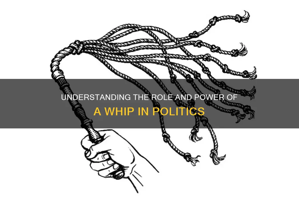 what is a whip politics