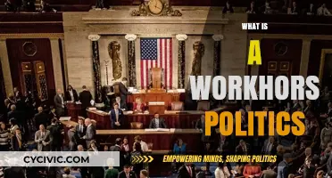 Understanding Workhorse Politics: The Unseen Engine of Policy and Progress