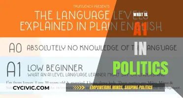 Understanding A1 in Politics: Key Concepts and Implications Explained