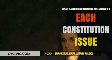 Baldwin's Stance: Understanding His Constitutional Views