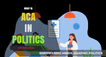 Understanding the Affordable Care Act's Political Impact and Significance