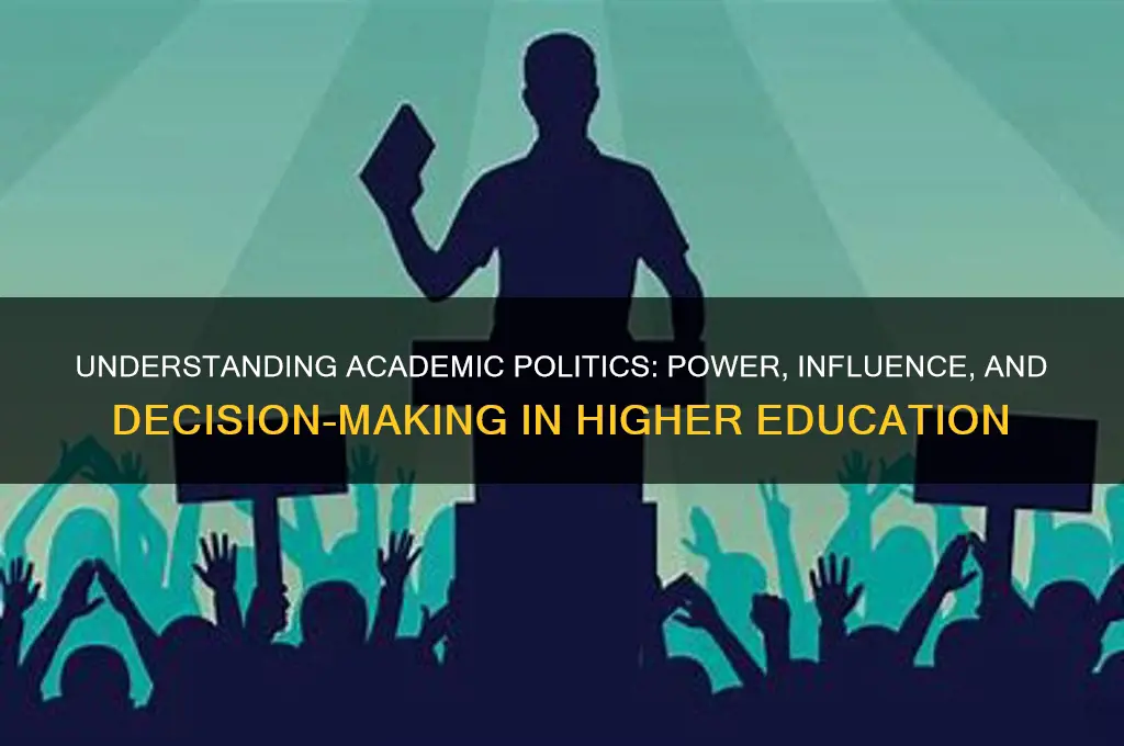 what is academic politics