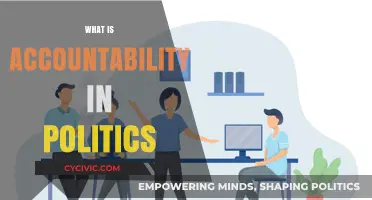 Understanding Political Accountability: Responsibilities, Transparency, and Public Trust Explained
