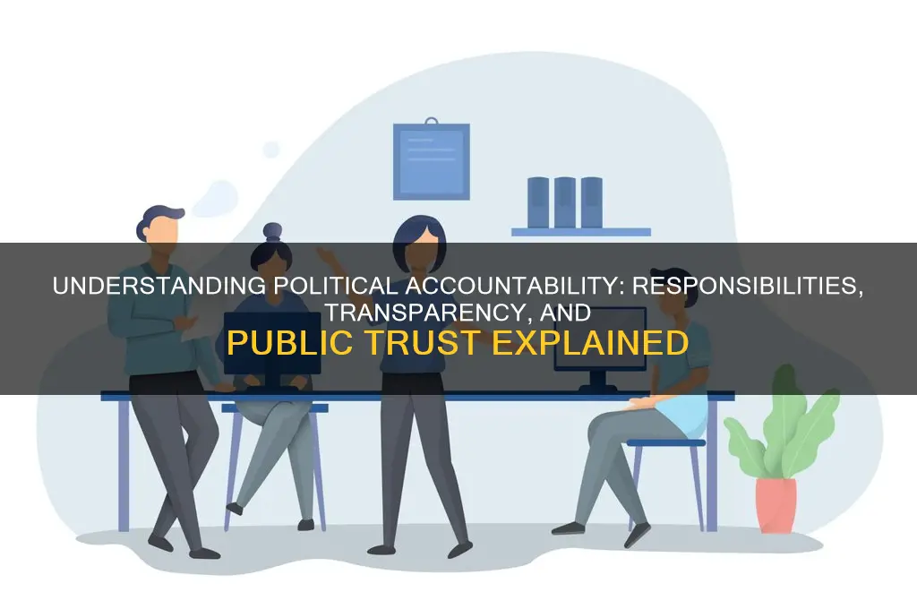what is accountability in politics