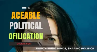 Understanding Aceable's Political Affiliation: A Comprehensive Overview