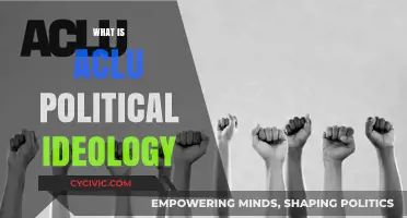 Understanding the ACLU's Political Ideology: Core Values and Principles Explained