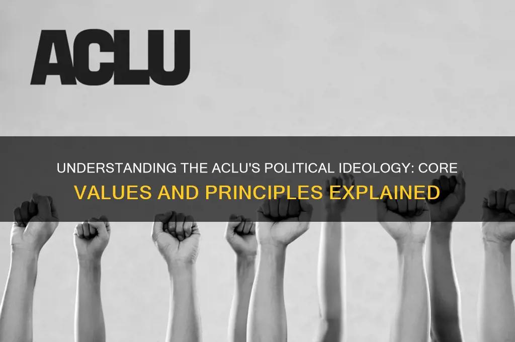 what is aclu political ideology