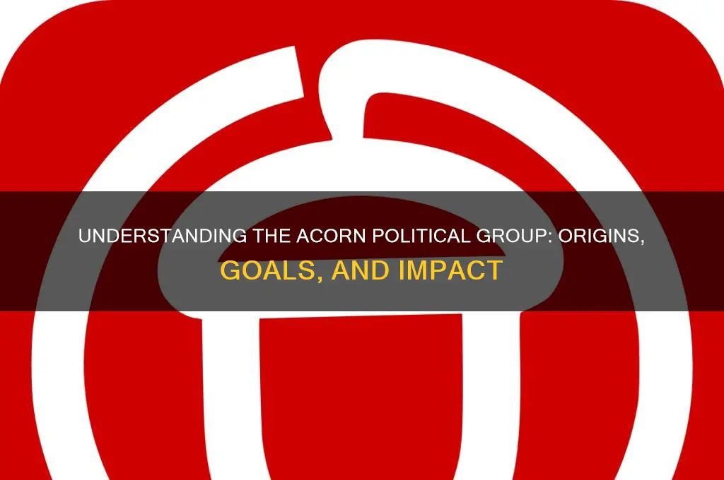 what is acorn political group