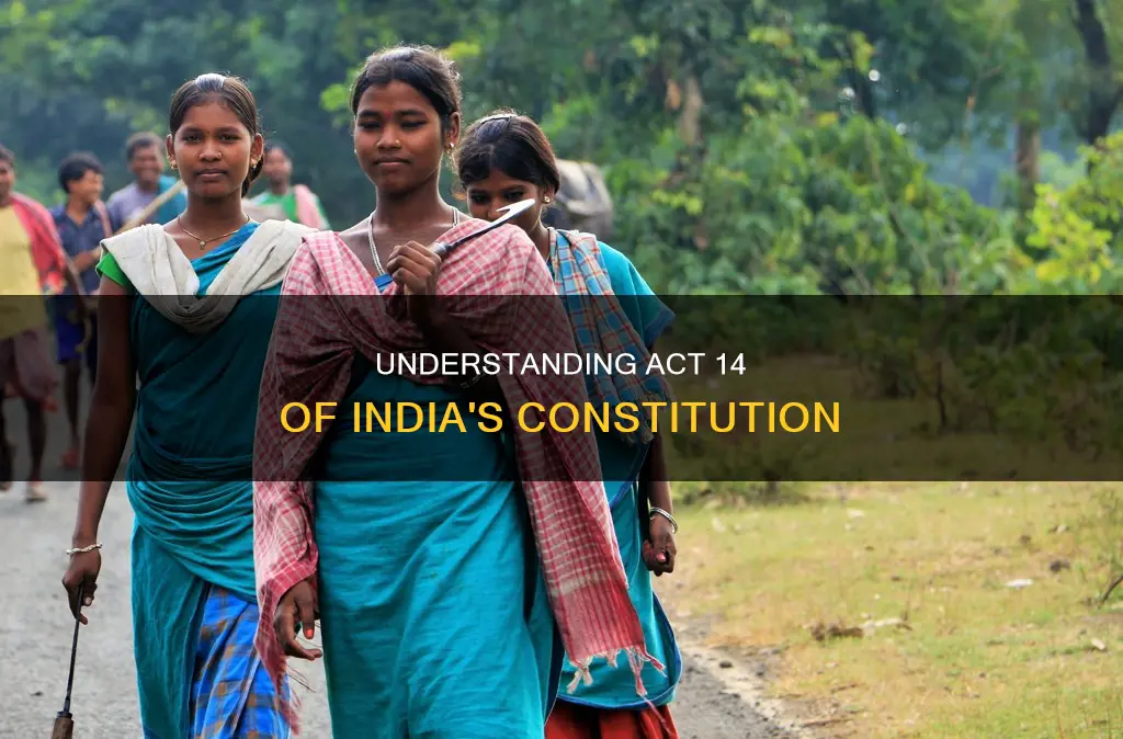 what is act 14 in indian constitution