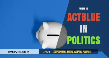 Understanding ActBlue: The Political Fundraising Platform Powering Campaigns