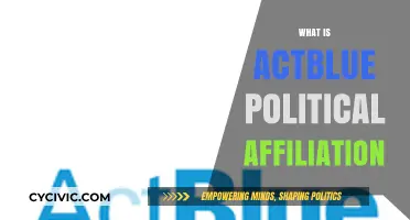 Decoding ActBlue: Understanding the Political Affiliation and Impact