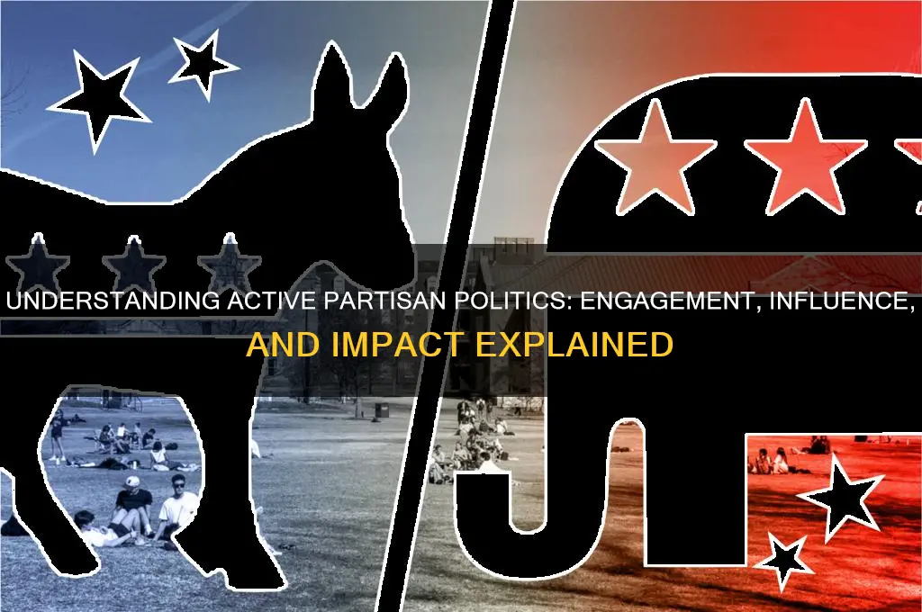 what is active partisan politics