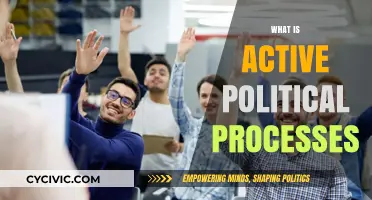 Understanding Active Political Processes: Engagement, Participation, and Democracy in Action