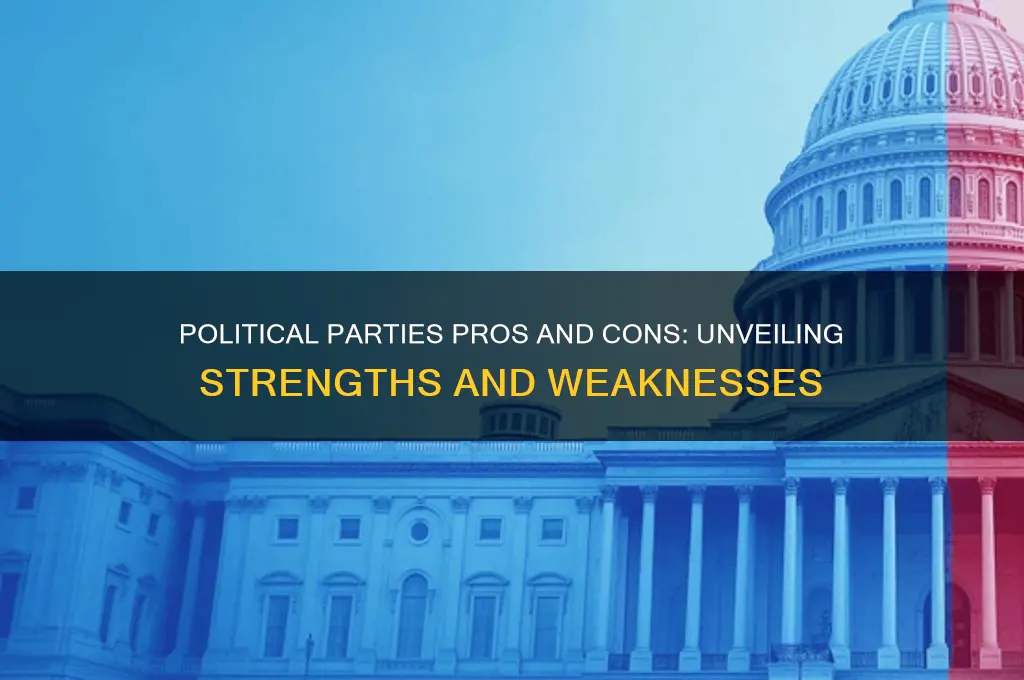 what is advantage and disadvantage of each political parties