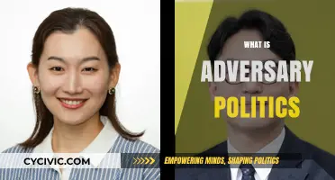 Understanding Adversary Politics: Conflict, Competition, and Power Dynamics Explained