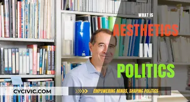 The Intersection of Aesthetics and Politics: Shaping Public Perception