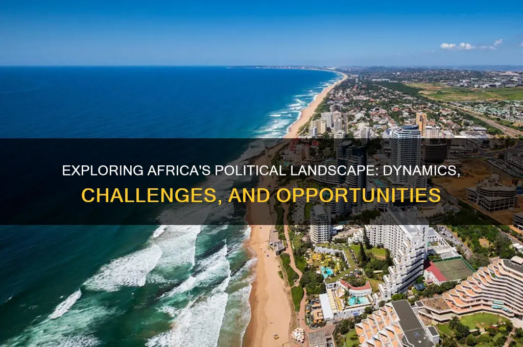 what is africa politics