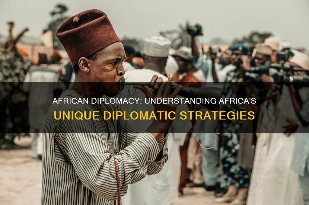 what is african diplomacy