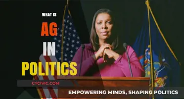 Understanding AG: The Role of Attorneys General in Politics