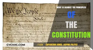 Unconstitutional Actions: Violating Our Founding Principles