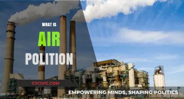 Understanding Air Pollution: Causes, Effects, and Solutions Explained