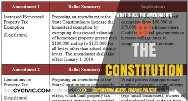 Amendments: The Constitution's Evolution