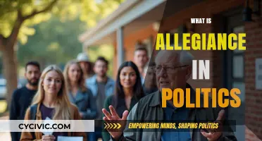 Understanding Political Allegiance: Loyalty, Commitment, and Its Impact on Governance