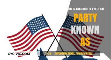 Understanding Party Loyalty: What Allegiance to a Political Party Means