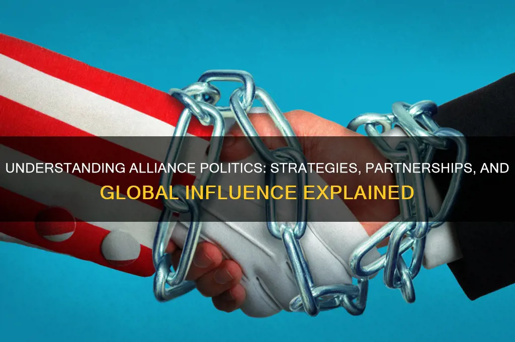 what is alliance politics