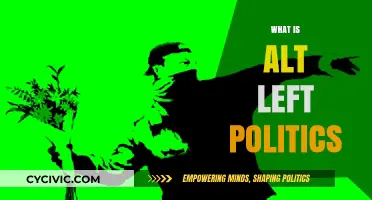 Understanding Alt-Left Politics: Origins, Beliefs, and Impact Explained