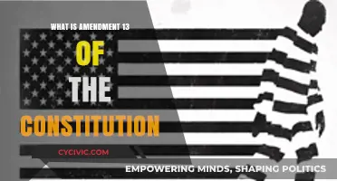 The 13th Amendment: Abolishing a Horrific Practice