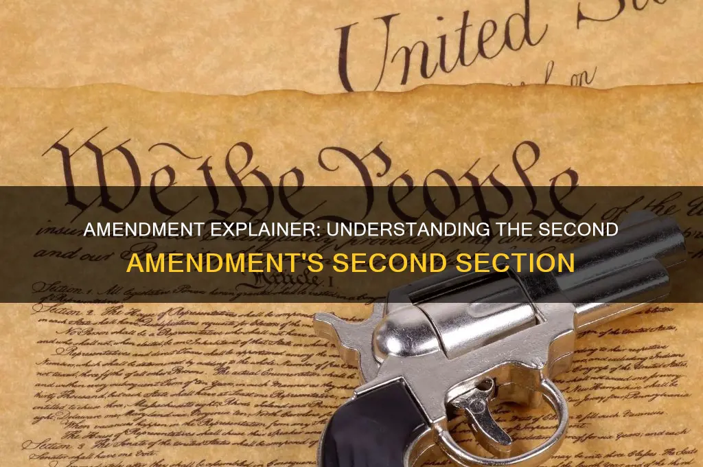 what is amendment 2 section 2 in the constitution