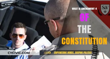 Amending Rights: Fourth Amendment Explained