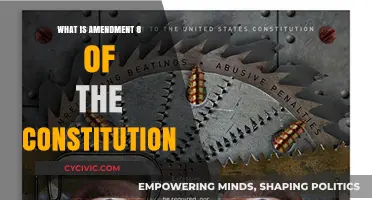 The Eighth Amendment: Cruel and Unusual Punishment