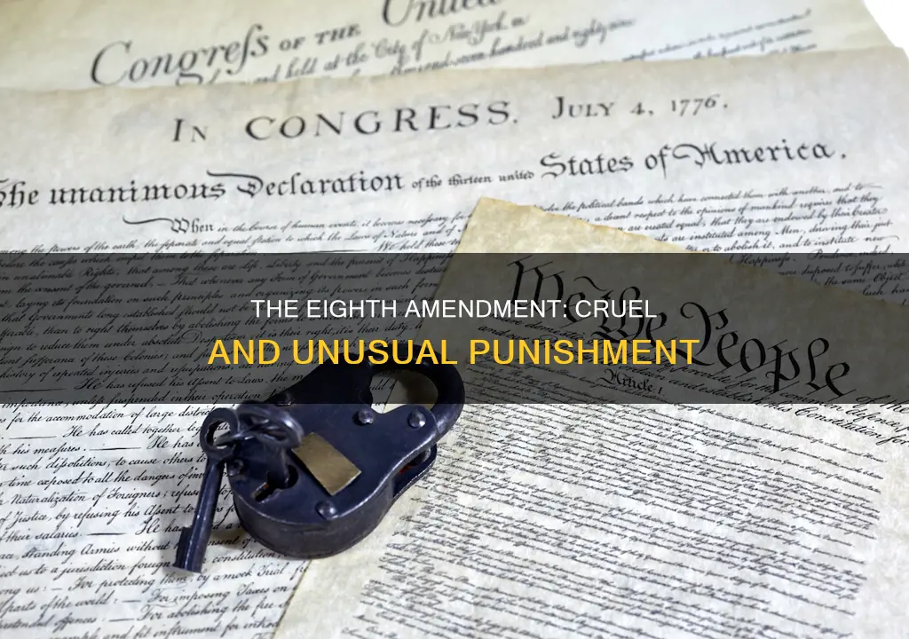 what is amendment 8 of the constitution