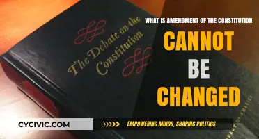 Unchangeable Amendments: Understanding Constitutional Limits