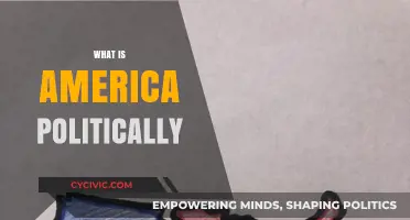 Understanding America's Political Landscape: Divisions, Ideologies, and Power Dynamics