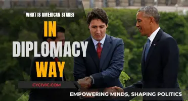 American Diplomacy: Stakes and Strategies