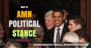 Understanding AMN's Political Stance: Core Beliefs and Policy Positions Explained