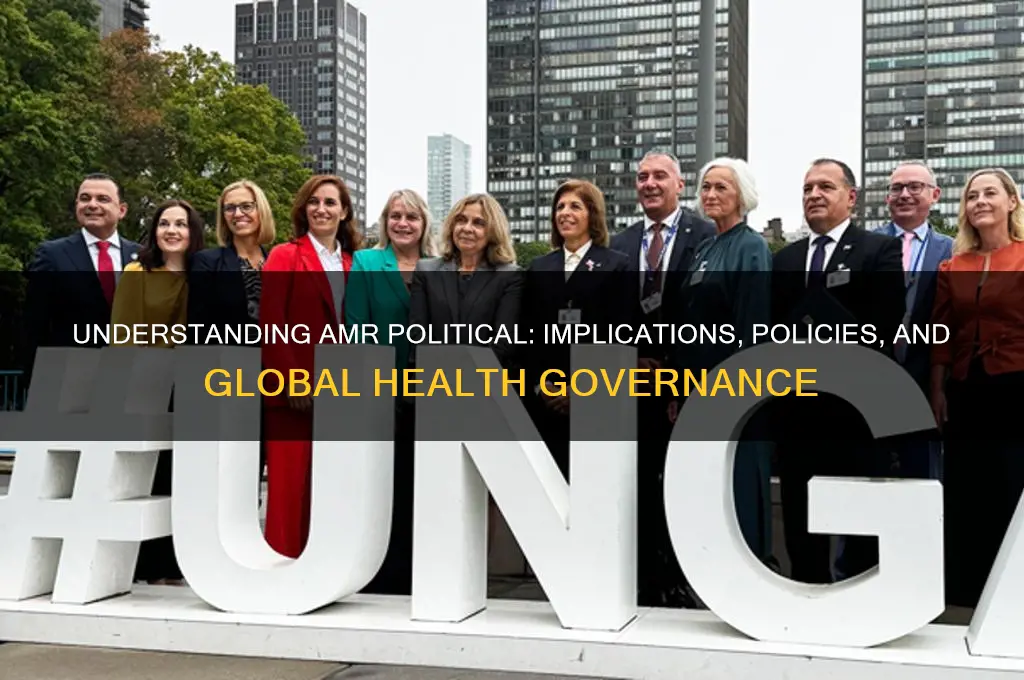 what is amr political