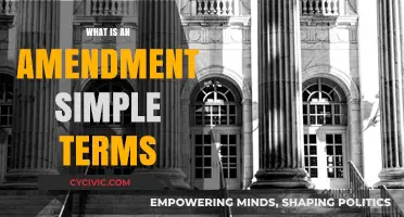 Amendments: How to Change Our Laws