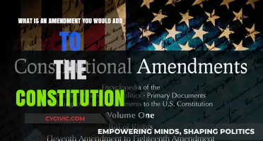 Amendments I Wish: My Proposal for the Constitution