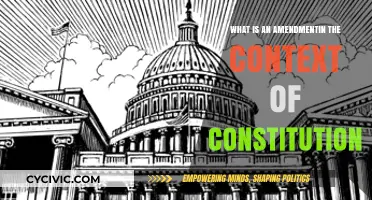 Amendments: How Constitutions Evolve and Adapt