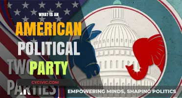 Understanding American Political Parties: Structure, Roles, and Influence Explained