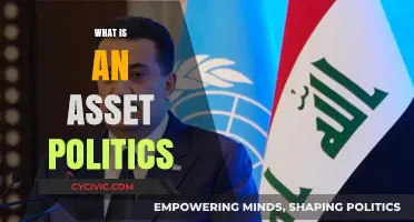 Understanding Asset Politics: Power, Resources, and Strategic Influence Explained