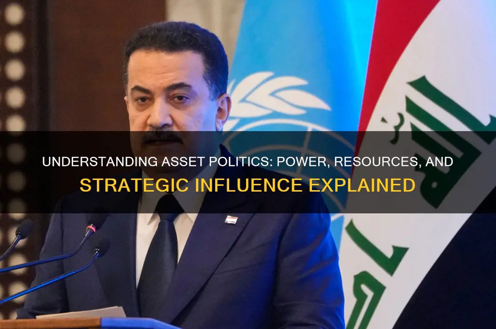 what is an asset politics