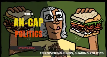 Understanding Anarcho-Capitalism: Core Principles and Political Implications Explained