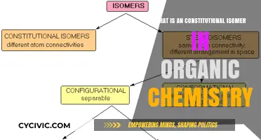 Organic Chemistry: Understanding Constitutional Isomers