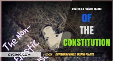 The Constitution's Elastic Clause: Explained